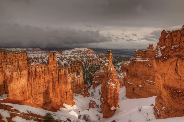 Bill Sherrell: Stormy Sunlight by Bill Sherrell