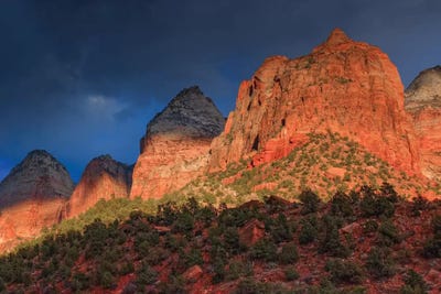 Sunlit Sliver by Bill Sherrell framed wall art