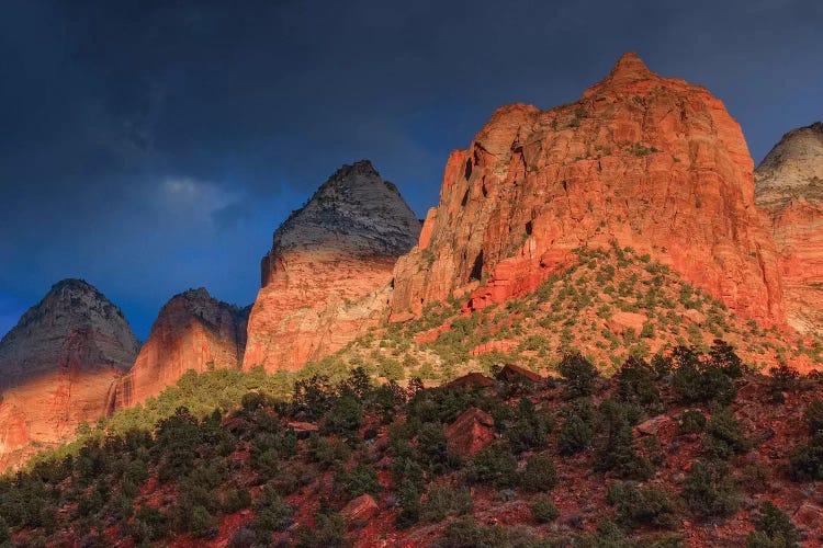 Sunlit Sliver by Bill Sherrell wall art