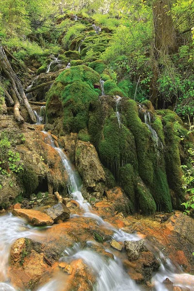 Bill Sherrell: Tiers Of Joy by Bill Sherrell