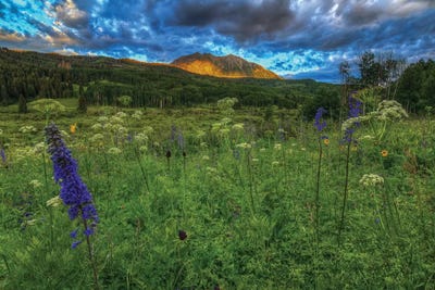The Dawning Of Majesty by Bill Sherrell framed wall art