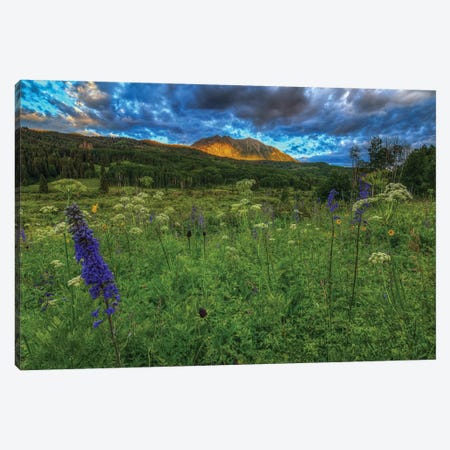 The Dawning Of Majesty Canvas Print #SHL205} by Bill Sherrell Canvas Artwork