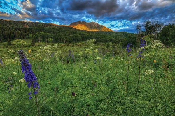 Bill Sherrell: The Dawning Of Majesty by Bill Sherrell