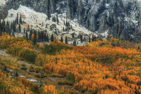 Bill Sherrell: The Fragile And The Strong by Bill Sherrell