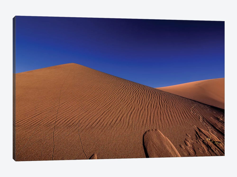 The Great Sand Dunes National Park by Bill Sherrell 1-piece Canvas Print