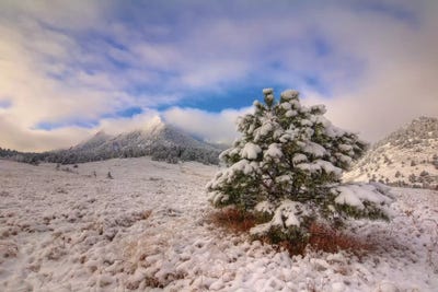 The Magical Flatirons by Bill Sherrell canvas print