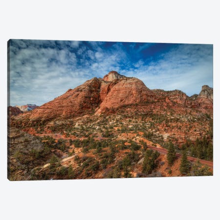 The Road To Zion Canvas Print #SHL215} by Bill Sherrell Canvas Art Print