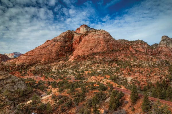 Bill Sherrell: The Road To Zion by Bill Sherrell