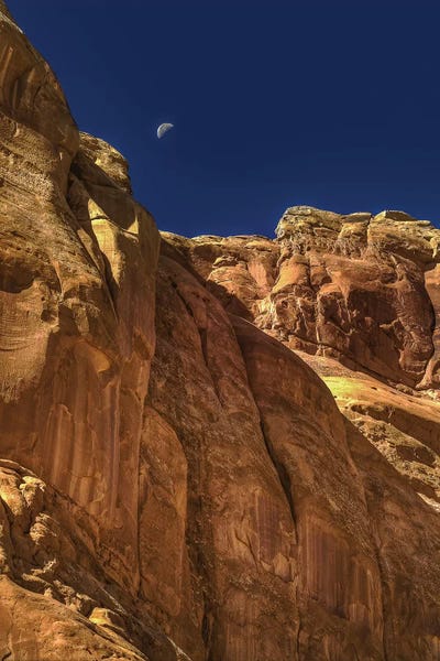 Towering Moon by Bill Sherrell framed wall art