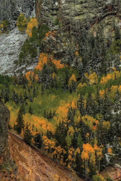 Vertical Autumn Wall by Bill Sherrell framed wall art