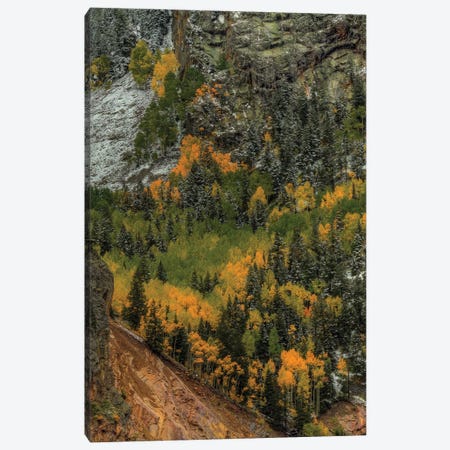 Vertical Autumn Wall Canvas Print #SHL224} by Bill Sherrell Canvas Wall Art