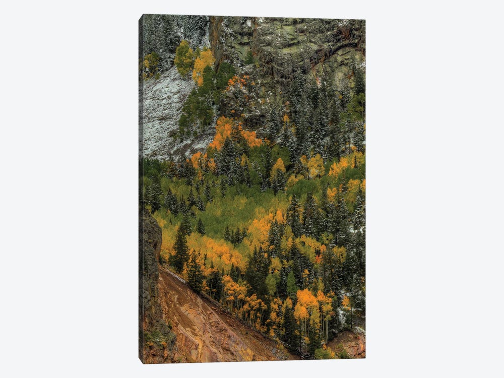 Vertical Autumn Wall by Bill Sherrell 1-piece Canvas Print