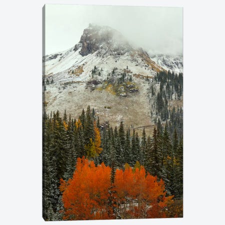 An Epiphany Of Red-Orange Canvas Print #SHL22} by Bill Sherrell Canvas Wall Art