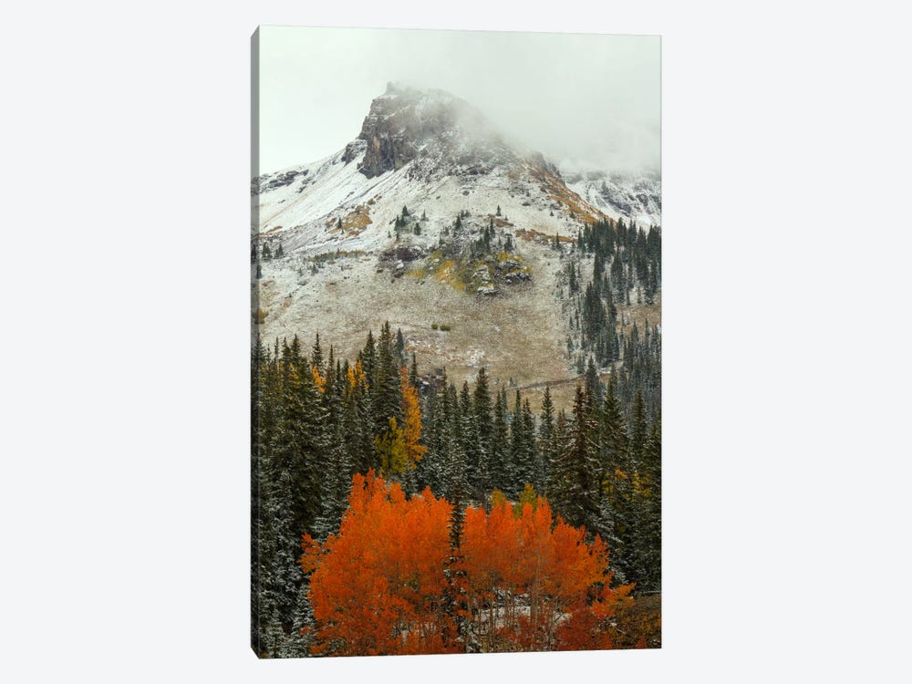 An Epiphany Of Red-Orange by Bill Sherrell 1-piece Canvas Print