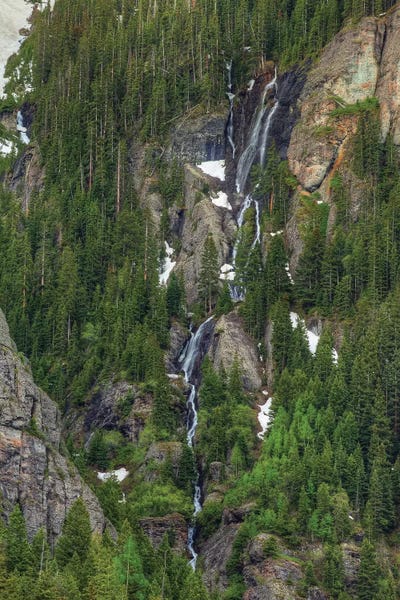 Evergreen Trees: Waterfalls And Green Trees by Bill Sherrell
