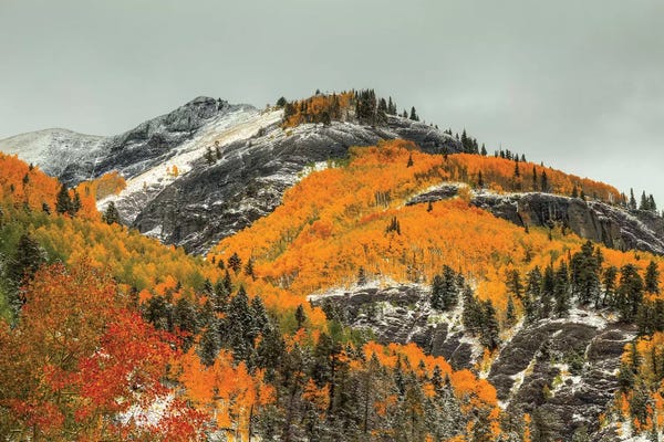 Evergreen Trees: White Lace And Autumn Ridges by Bill Sherrell