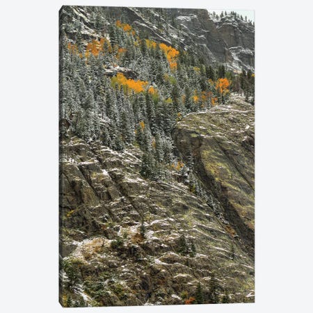 White Lace And Autumn Slivers Canvas Print #SHL234} by Bill Sherrell Canvas Print