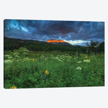 Wildflowers And Mountain Majesty Canvas Print #SHL237} by Bill Sherrell Canvas Print