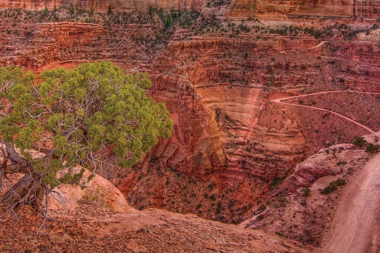 Desert Contrast by Bill Sherrell wall art