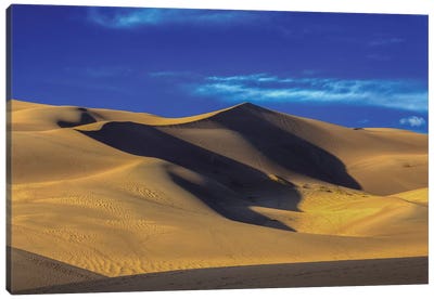 Dunes Canvas Art Print - Bill Sherrell