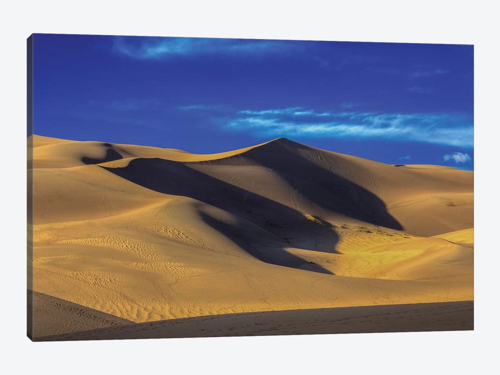 Dunes by Bill Sherrell 1-piece Canvas Artwork