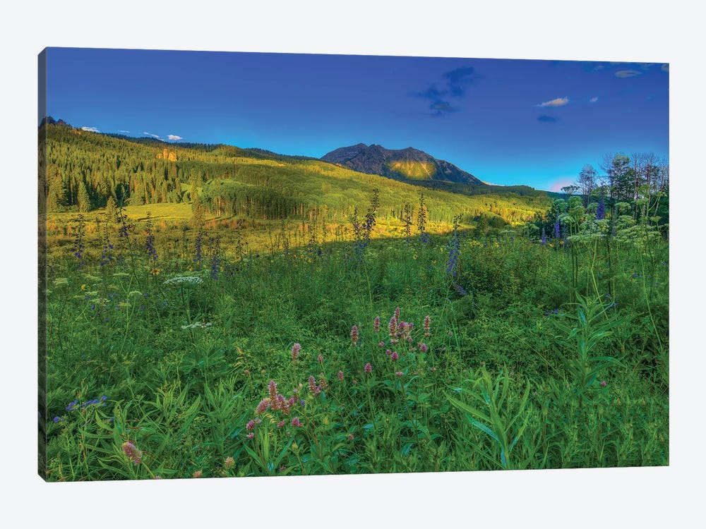Wildflowers And Windows Of Light by Bill Sherrell 1-piece Canvas Artwork