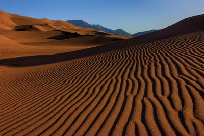 In A Rut by Bill Sherrell canvas print