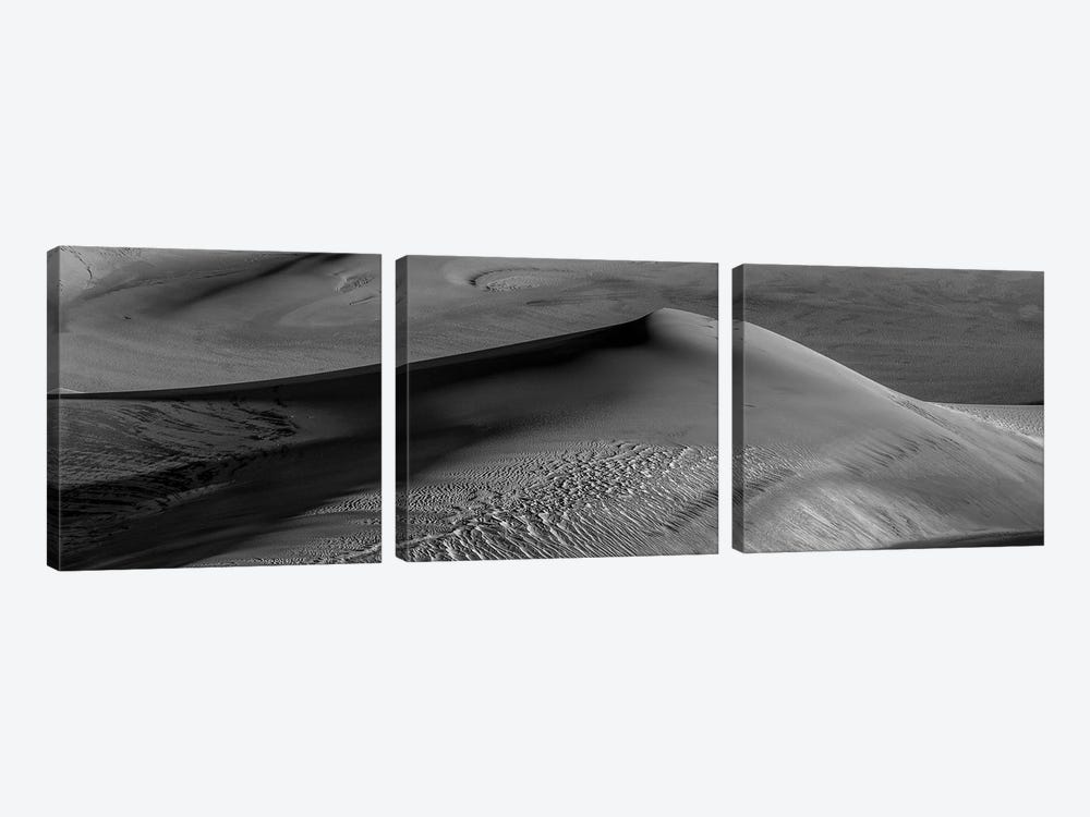 Shaped By The Wind in Black & White by Bill Sherrell 3-piece Canvas Wall Art