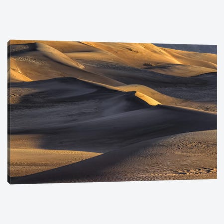 The Great Dunes Canvas Print #SHL272} by Bill Sherrell Canvas Artwork
