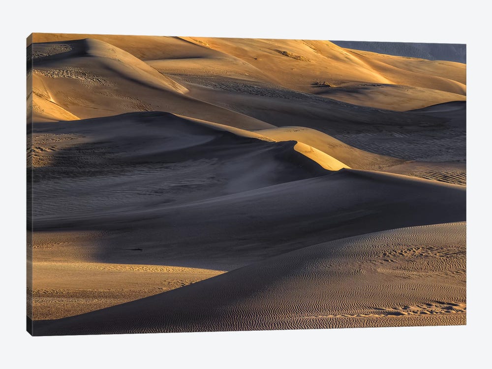 The Great Dunes by Bill Sherrell 1-piece Canvas Wall Art