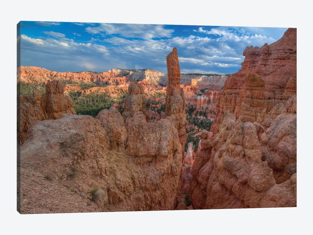 A Journey Through Bryce Canyon 1-piece Art Print