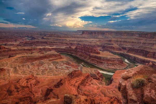 Bill Sherrell: Dead Horse Canyon-Utah I by Bill Sherrell