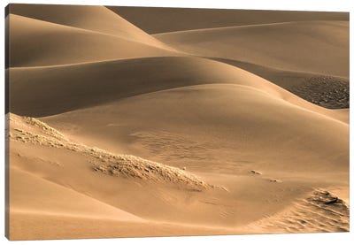Dunes And Light Canvas Art Print - Coastal Sand Dune Art