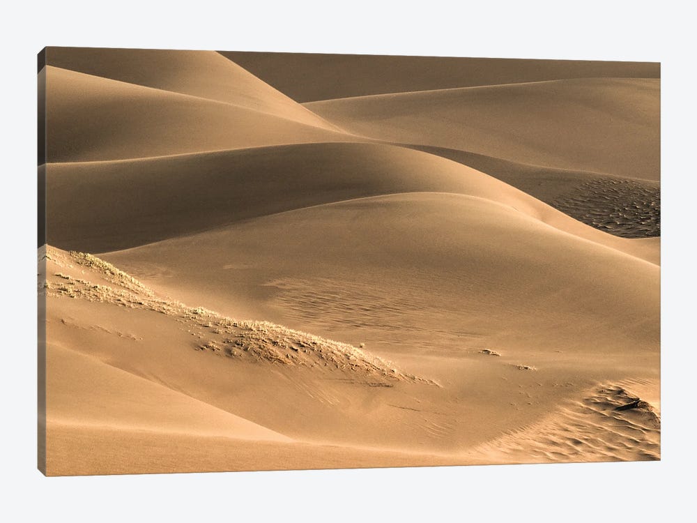 Dunes And Light by Bill Sherrell 1-piece Canvas Print