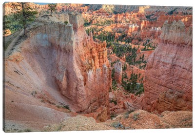 Peering Through Bryce Canyon Canvas Art Print - Bill Sherrell