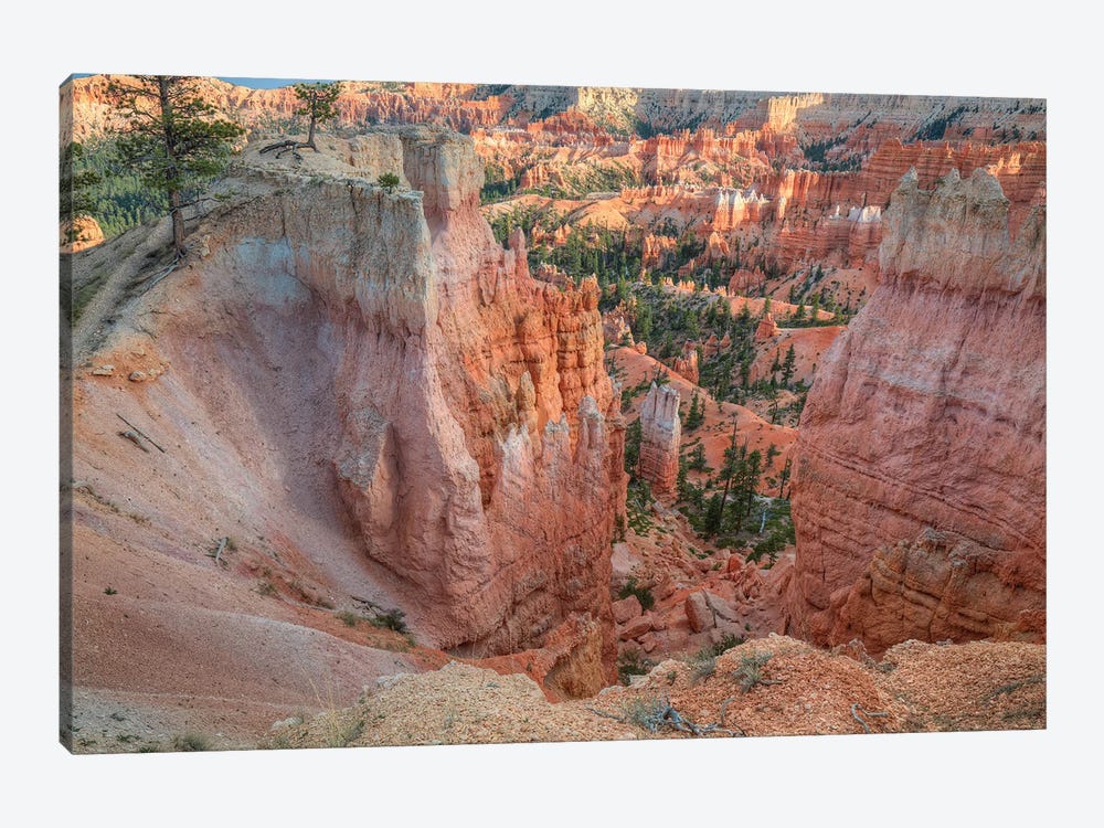 Peering Through Bryce Canyon by Bill Sherrell 1-piece Canvas Print