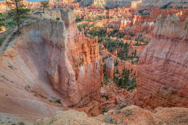 Bill Sherrell: Peering Through Bryce Canyon by Bill Sherrell