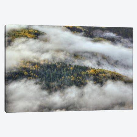 Aspen Forest In The Clouds Canvas Print #SHL28} by Bill Sherrell Canvas Wall Art