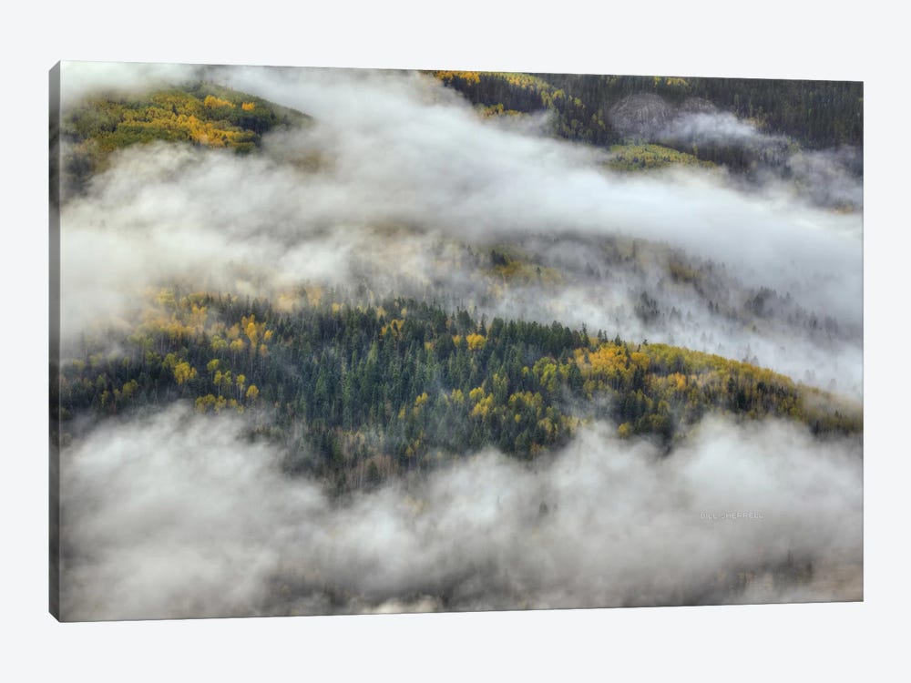 Aspen Forest In The Clouds by Bill Sherrell 1-piece Canvas Art Print