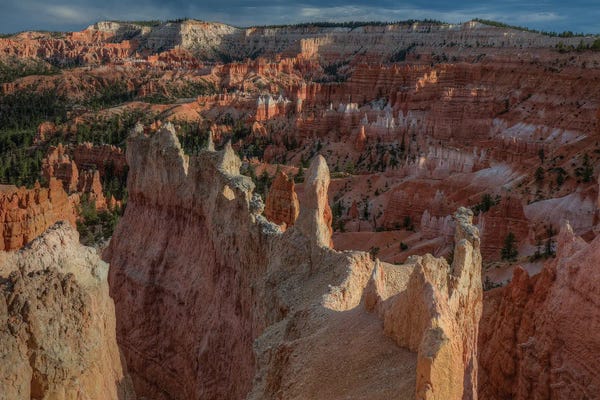 Bill Sherrell: Standing Out In A Crowd by Bill Sherrell