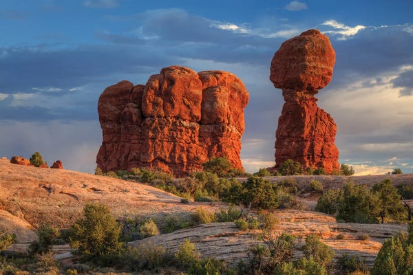 Bill Sherrell: Standing Tall by Bill Sherrell