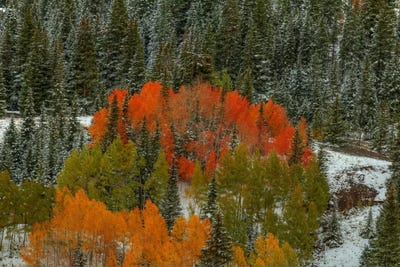 A Circle Of Color by Bill Sherrell framed wall art