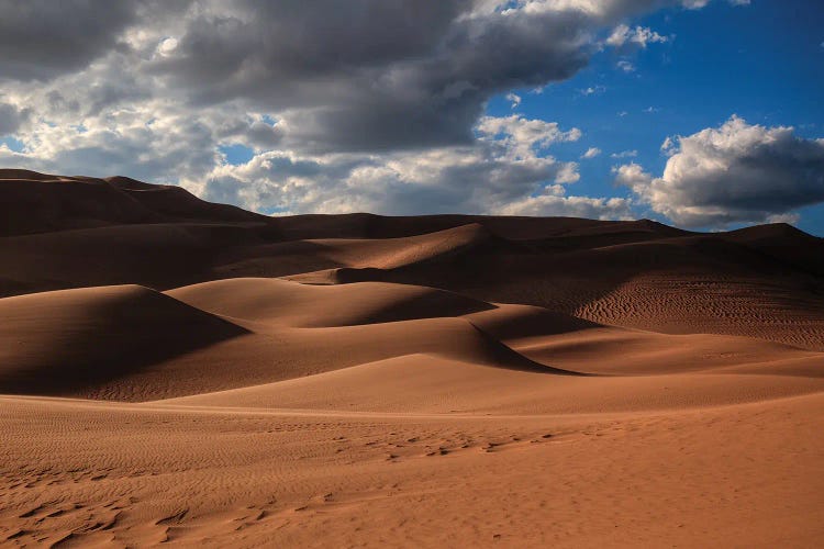 The Great Dunes In Colorado by Bill Sherrell wall art