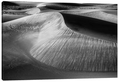 Wind Sculpting Canvas Art Print - Coastal Sand Dune Art