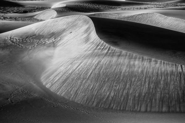 Coastal Sand Dunes: Wind Sculpting by Bill Sherrell