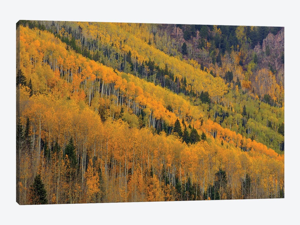 Autumn Rows by Bill Sherrell 1-piece Canvas Artwork