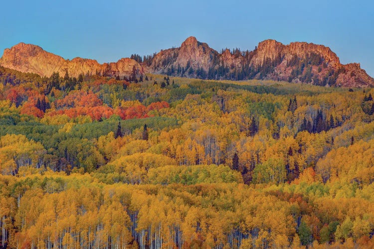 Last Rays Over An Autumn Showcase