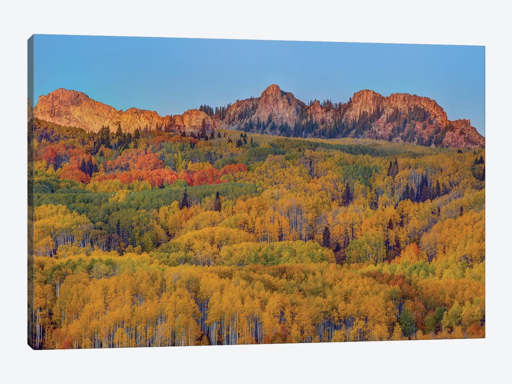 Last Rays Over An Autumn Showcase by Bill Sherrell 1-piece Canvas Art