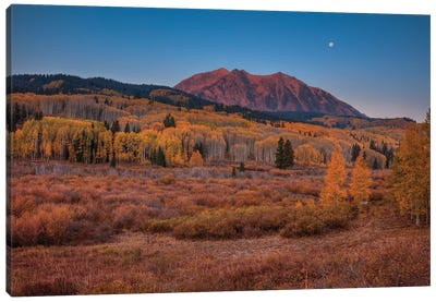 East Beckwith Mountain-Colorado Canvas Art Print - Bill Sherrell