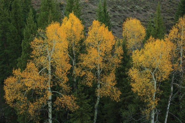 Bill Sherrell: Light In The Darkness by Bill Sherrell